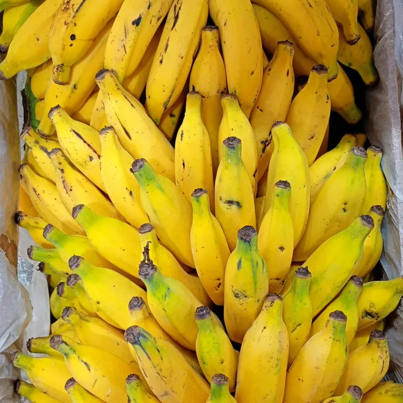 BANANA PRATA